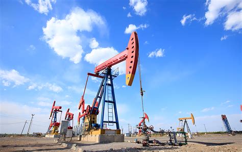 About SEAOIL.